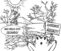 Privatizao no resolve!!!