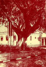 Detalhe - praça Padre Anchieta, por Carlos Gírio