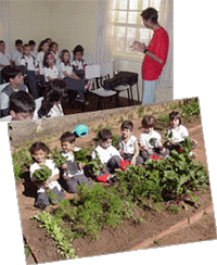Monteiro Lobato: trabalho complementado com ações em sala de aula