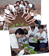 Prudente: boa colheita e boas dicas de educação ambiental