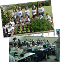 Colégio das Terras: cada classe, uma atividade