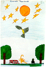 Sheila Ap. R. da Silveira - 11 anos - Categoria 5ª Srie