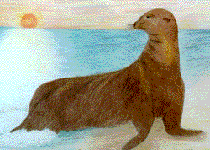 Arte - Luciana Calazan - 14 anos - Categoria 7.a Srie