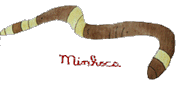 minhoca