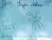 M. das Graas O. Pereira e Antonia M. B. Dias - Categoria Supletivo